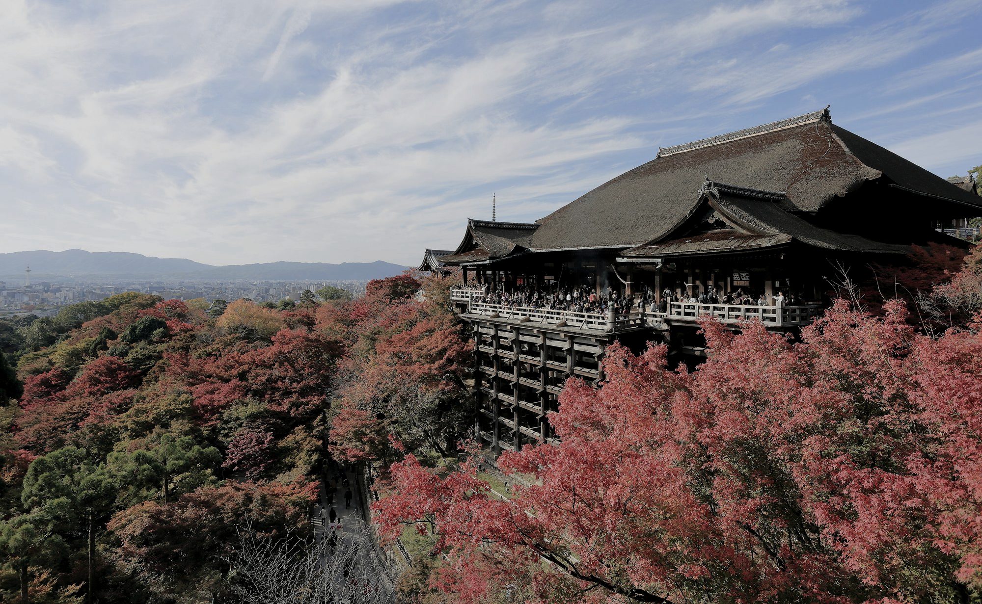 Temple pagoda above the maple canopy in eastern Kyoto