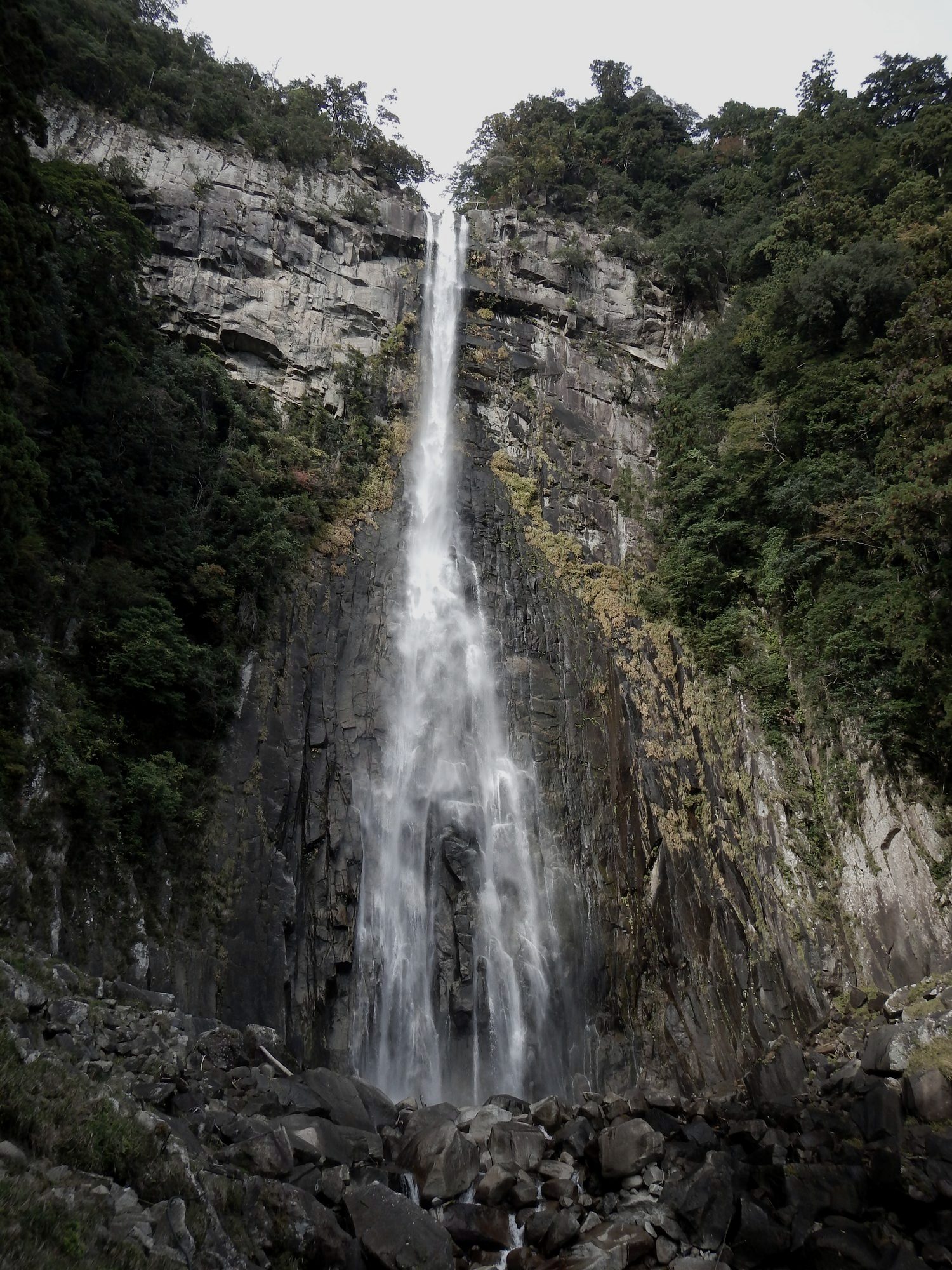 Nachi waterfall falling through forest